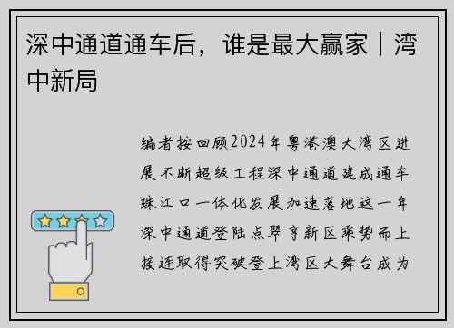 深中通道通车后，谁是最大赢家｜湾中新局