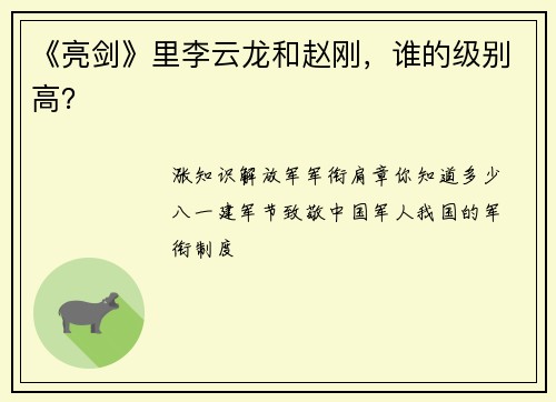 《亮剑》里李云龙和赵刚，谁的级别高？