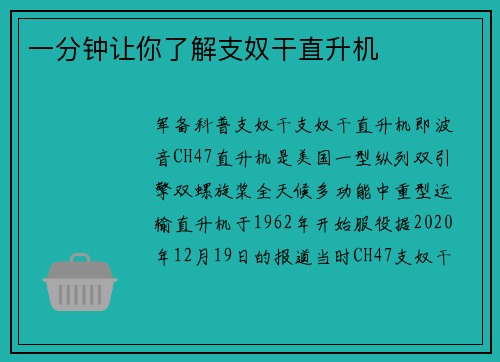 一分钟让你了解支奴干直升机
