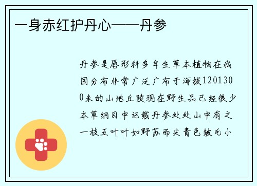 一身赤红护丹心——丹参