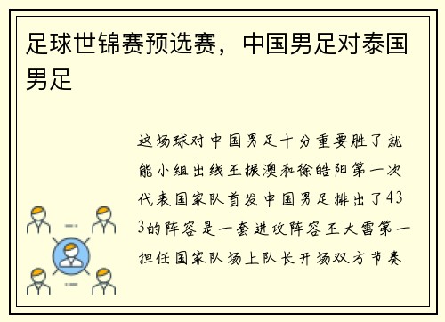 足球世锦赛预选赛，中国男足对泰国男足