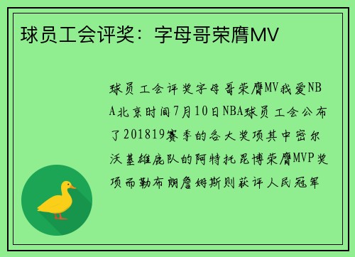 球员工会评奖：字母哥荣膺MV