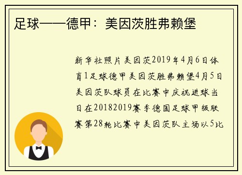 足球——德甲：美因茨胜弗赖堡